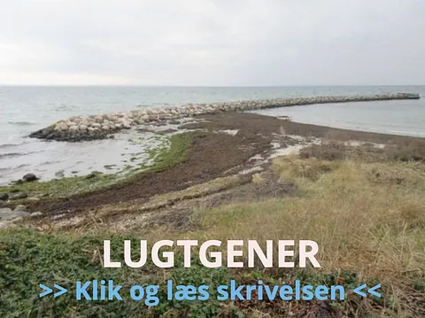 Det sker i Snekkersten